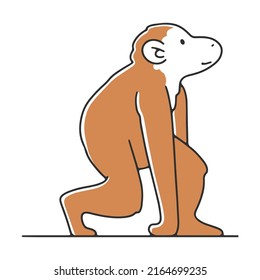 Wild monkey flat vector illustration. Humankind progress from caveman as ancestor. Human evolution theory Anthropology concept