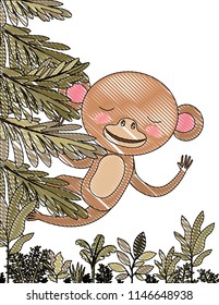 wild monkey in the jungle scene