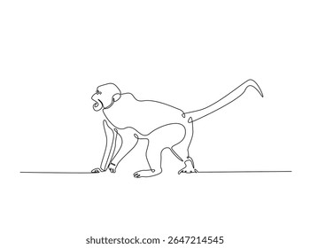 Wild monkey in single outline illustration. Continuous line art drawing of monkey.