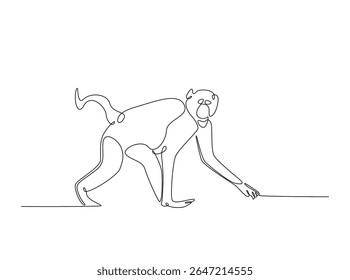 Wild monkey in single outline illustration. Continuous line art drawing of monkey.