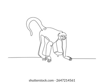 Wild monkey in single outline illustration. Continuous line art drawing of monkey.