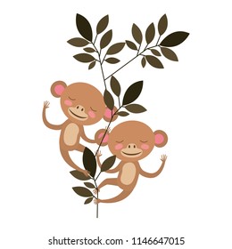wild monkeys couple in the jungle
