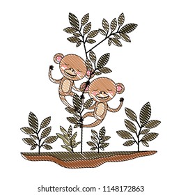 wild monkeys couple in the jungle