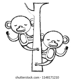 wild monkeys couple in the tree