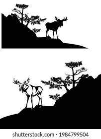 wild moose buck standing on pine covered rock cliff - black and white vector silhouette scene with bull elk and trees