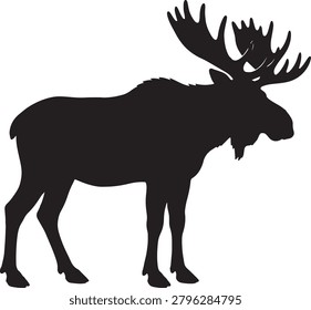Wild moose icon, large bull antlers, animal clipart vector.