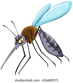 Wild mosquito on white background illustration