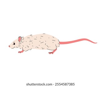 Wild mouse or rat side view. Cartoon vector animal illustration for zoo sign or clipart icon. Wildlife rodent or domestic mammal. Adorable fauna mascot. Zoology and biology image. Small pet side view.