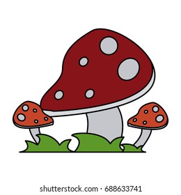 wild mushroom icon image 