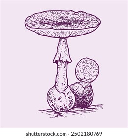 Wild mushroom vector sketch that can be used for printing on t-shirts and tote bags or greeting cards