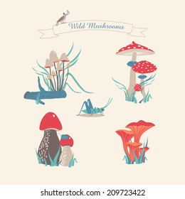 wild mushrooms
