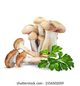 Wild Mushrooms Armillaria of vector illustrations in flat design isolated on white. Honey Agaric low poly. Autumn Gifts. Vector illustration. Honey fungus in triangulation technique.