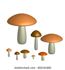 Wild mushrooms on a white background