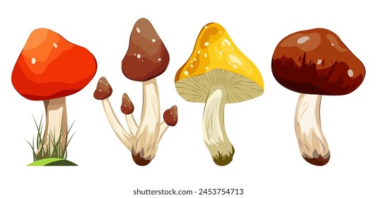 Wild mushrooms. Set of raw forest edible and poisonous mushrooms. Autumn season.Assortment of poster and banner designs for gourmets, diets, cooking. Bright vector isolated icons.