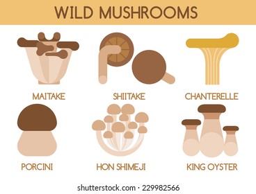 Wild mushrooms vector