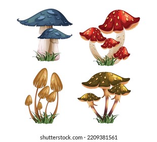 wild mushrooms vector illustration design