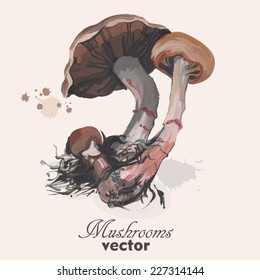Wild mushrooms watercolor