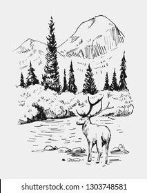 Wild natural landscape with an area of Alaska. A deer stands in the river. Hand drawn illustration converted into vector.