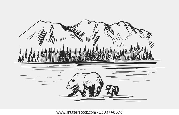 川にクマのいる野生の自然の風景 アラスカ州 手描きのイラストをベクター画像に変換 のベクター画像素材 ロイヤリティフリー