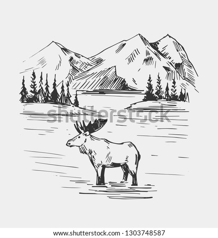 Wild natural landscape with lake, moose, mountains. Alaska region Hand drawn illustration converted to vector.  