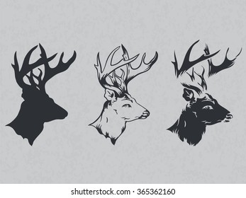 Wild Nature 05