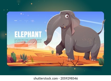 Wild nature banner with happy elephant walking in savannah. Vector landing page with cartoon illustration of sand desert with cactuses, stones and cute big african animal