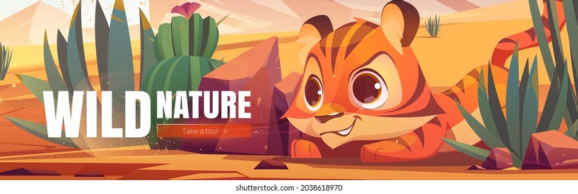 Wild nature cartoon web banner. Funny tiger cub hunting in African desert natural landscape. Baby predator life in deserted Africa with cacti and rocks, outdoor zoo park, save animals, vector concept