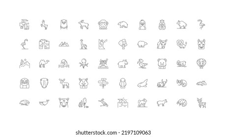 Wild nature concept illustration, linear icons, line signs set, vector collection