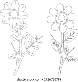 Wild and Nature flowers on white background . Vector Illustration