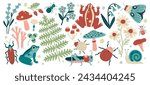 Wild nature of forest collection with plants and leaves, frogs and insects set vector illustration. Creative drawing of abstract natural design elements and cute wildlife inhabitant of woodland