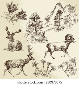 wild nature, forest and mountains - hand drawn illustration