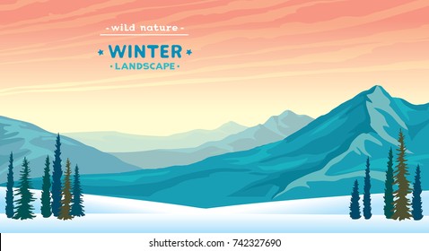 Wild nature illustration with blue mountains, snowdrifts and pine tree on a sunset sky. Winter vector landscape. 