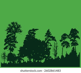 Wild Nature illustrator drawing vectors