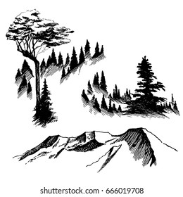 Wild nature, Mountain Wood North landscape