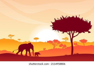 Wild nature sunrise, sunset landscape, African elephant, elephant baby silhouette, hills covered by acacias. Savannah morning, evening. Beautiful natural scenery, animal, wildlife. Vector illustration