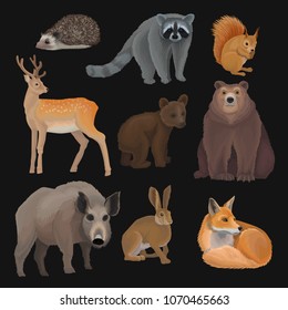 Wild northern forest animals set, hedgehog, raccoon, squirrel, deer, fox, bear cub, wild boar, hare vector Illustrations on a black background
