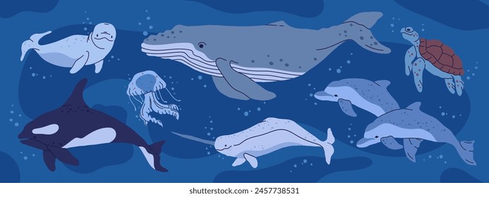 Wild ocean animals. Underwater fauna, whale, orca, turtle and jellyfish, hand drawn underwater aquatic animals flat vector illustration set. Antarctic nature aquatic animals collection