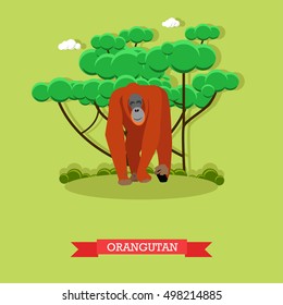 Wilde Orang-Utan-Vektorgrafik im flachen Stil. Affe - Zoo-Elemente und Symbole für Tierdesign.