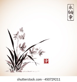 Wild orchid on meadow. Traditional Japanese ink painting sumi-e in vintage style. Contains hieroglyphs - eternity, freedom, happiness