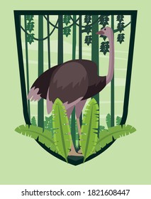 wild ostrich animal in the jungle shield frame vector illustration design