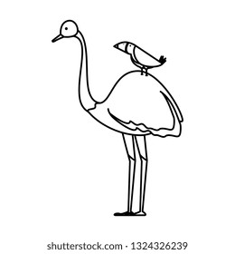 wild ostrich bird character