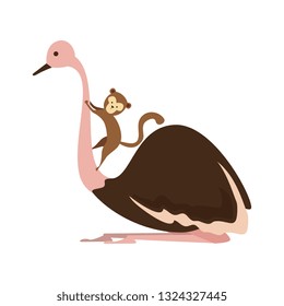 wild ostrich bird character