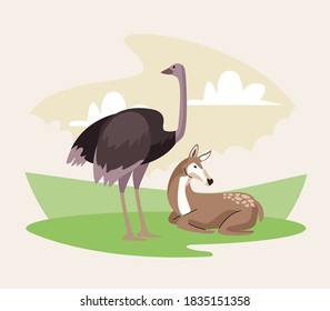 wild ostrich and gazelle animals nature icons vector illustration design