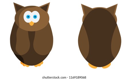 Wild owl in two projections