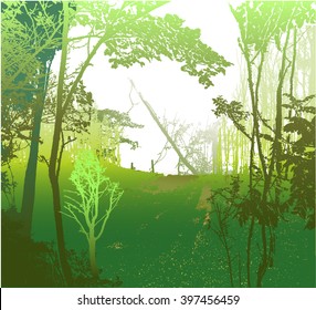 Wild panoramic landscape with sunny forest, silhouettes of trees and grass
