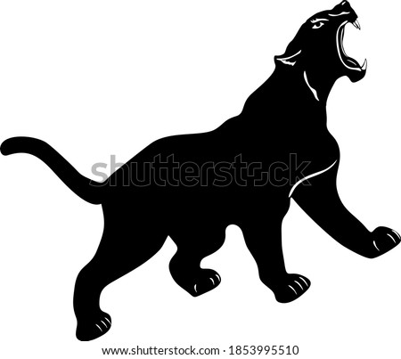 Wild panther on white background. Vector
