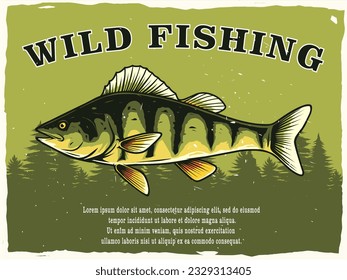 wild perch fishing poster design