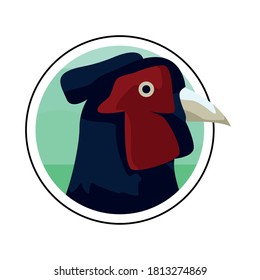 wild pheasant bird animal head vector illustration design