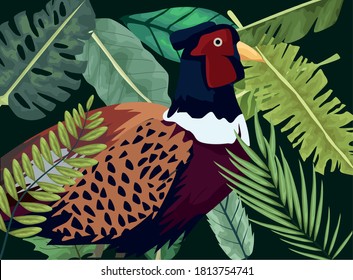 granja de aves de faisán silvestre en el diseño de ilustración vectorial de la escena jundle