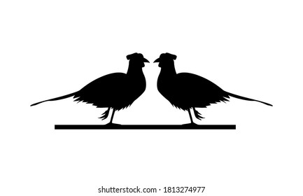 wild pheasants birds animals silhouettes vector illustration design